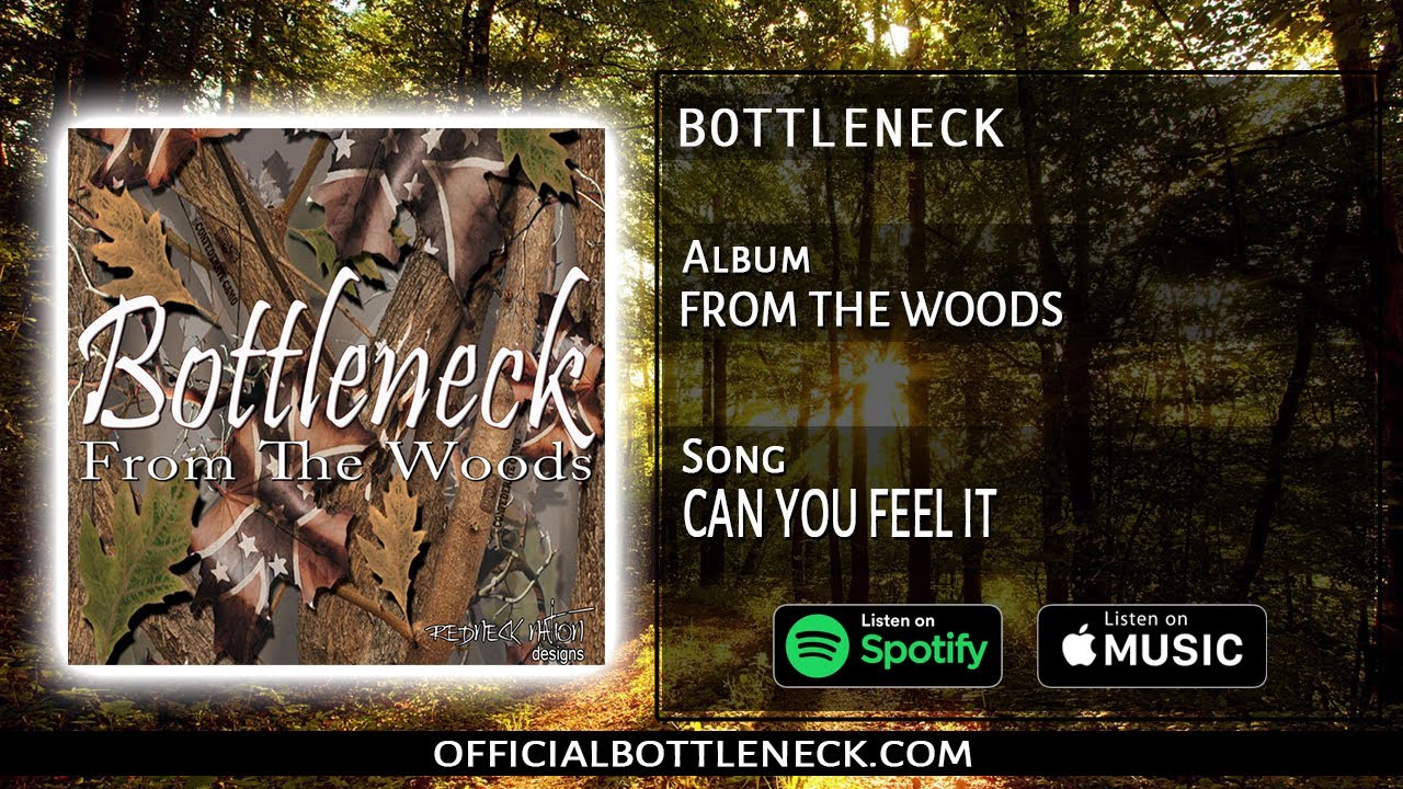 Album: From the woods Song: Can you feel it (BOTTLENECK)
