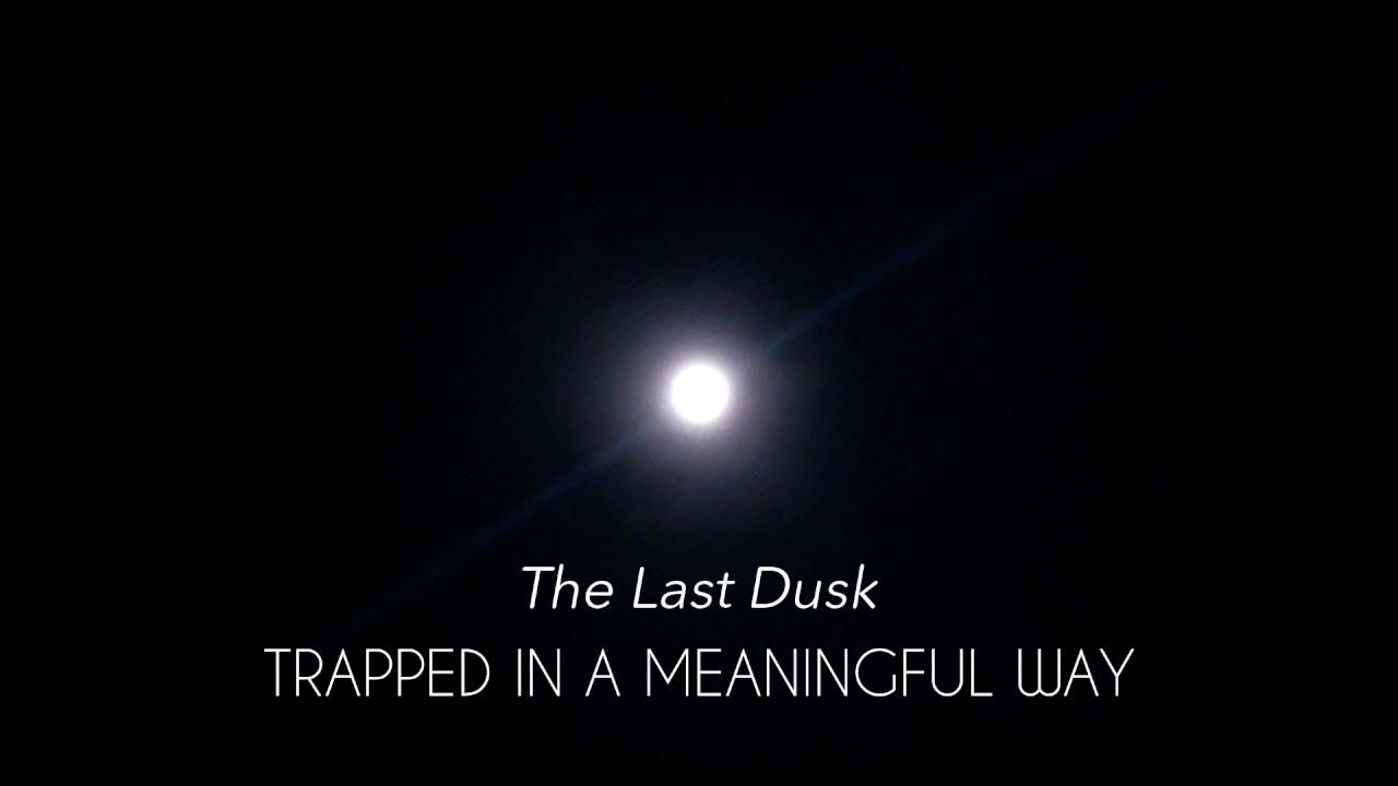 vyonizr - The Last Dusk (Track 11) [TIAMW, 2013]