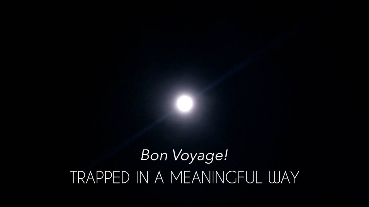 vyonizr - Bon Voyage! (Track 12) [TIAMW, 2013]
