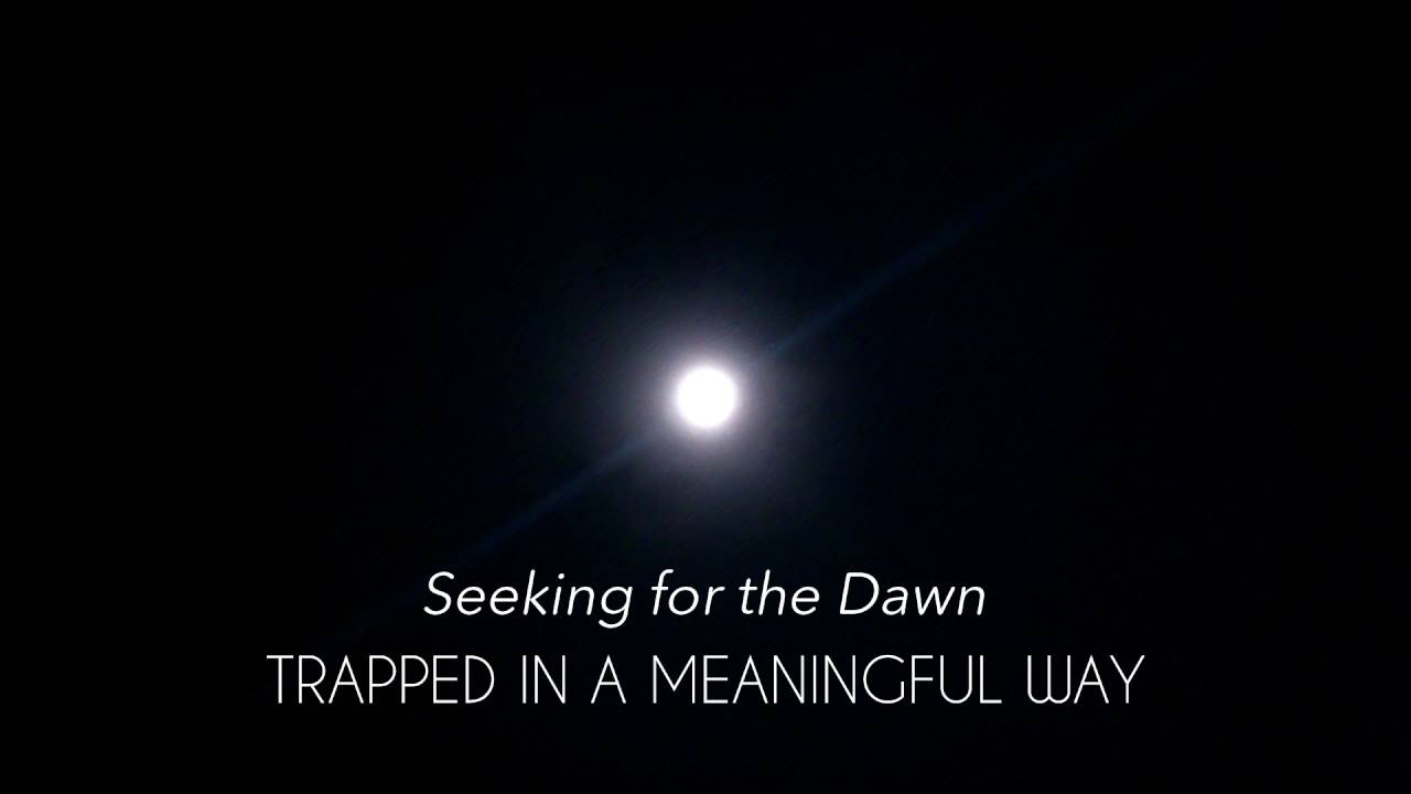 vyonizr - Seeking for the Dawn (Track 6) [TIAMW, 2013]