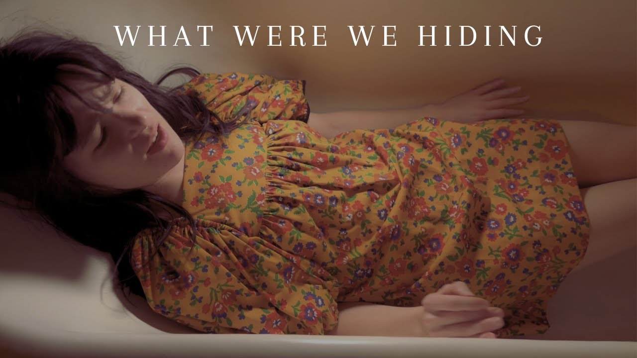 Dustin Silva - What Were We Hiding - Existential Melancholic Folk (Official Music Video)