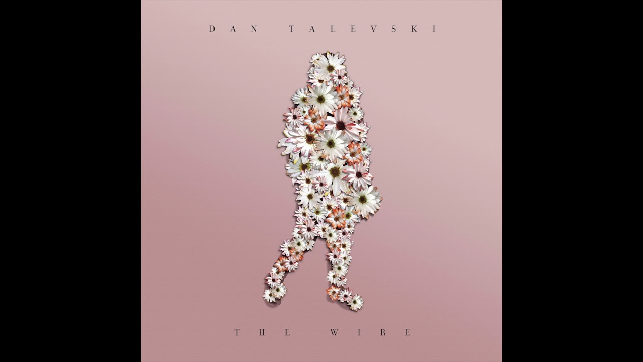 Dan Talevski - The Wire