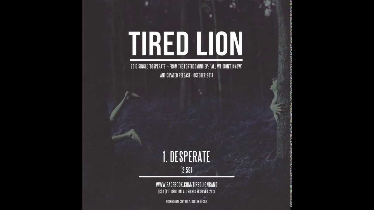 Desperate - Tired Lion