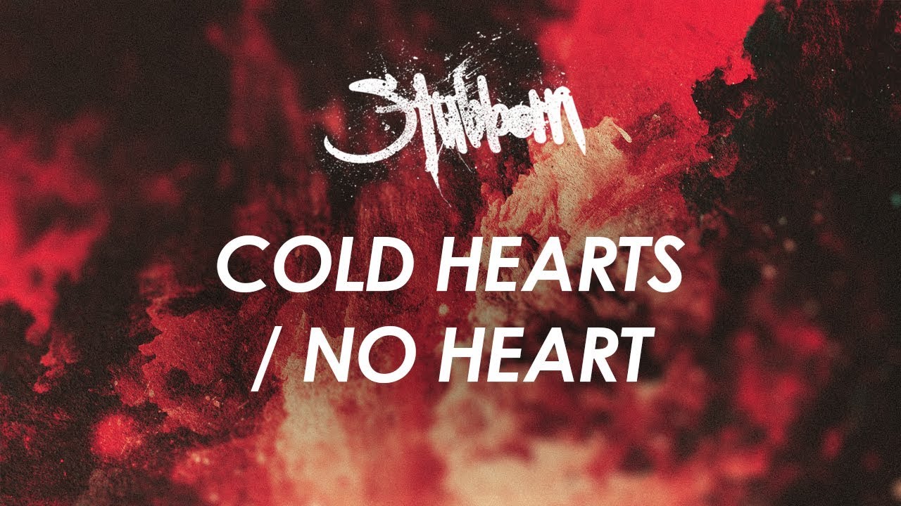 STUBBORN - COLD HEARTS / NO HEART (Official Lyric Video)