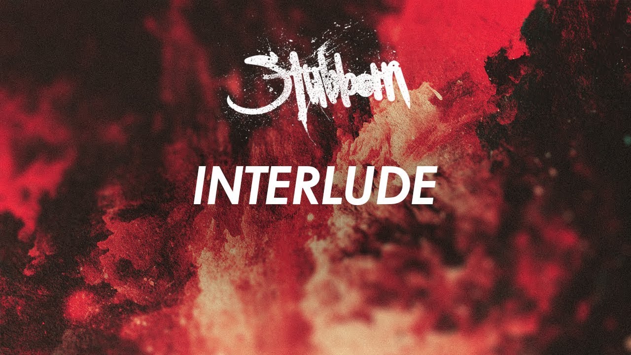 STUBBORN - INTERLUDE