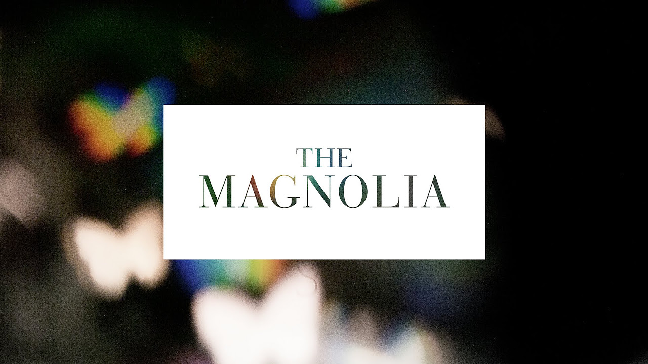 The Magnolia - Yesterday