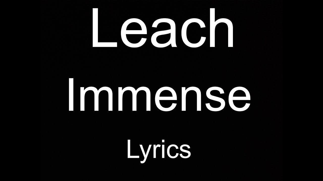 Leach - Immense (updated lyrics and better video and audio quality)