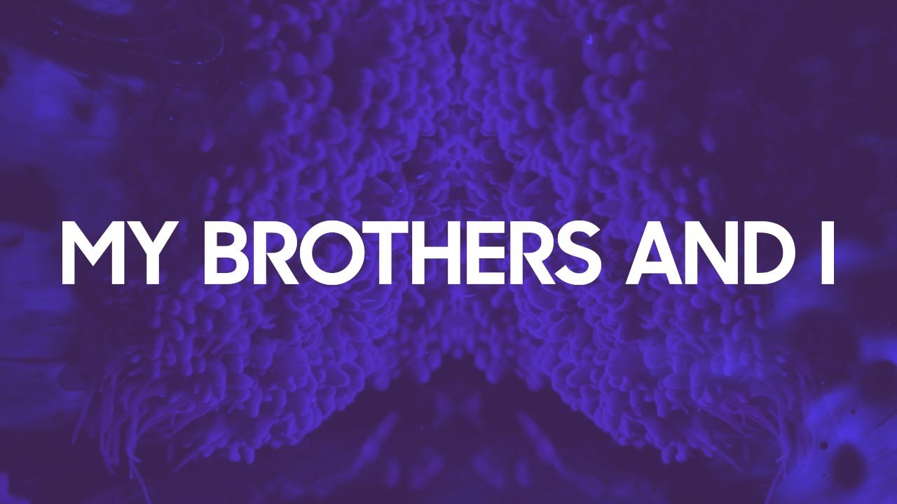 My Brothers And I - Temporary Love (LYRIC VIDEO)