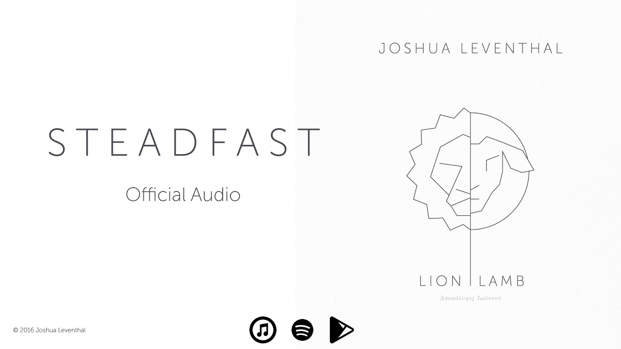 Joshua Leventhal - S T E A D F A S T [Official Audio]