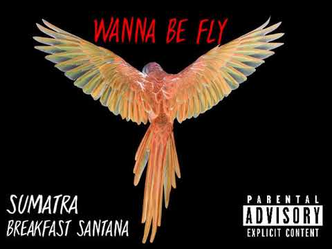 Breakfast Santana - Wanna Be Fly produced by SUMATRA