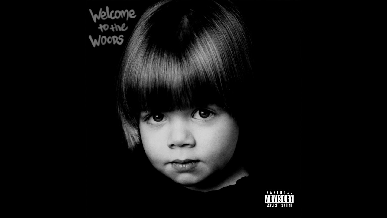 Lincoln Woods - Welcome to the Woods (Audio)