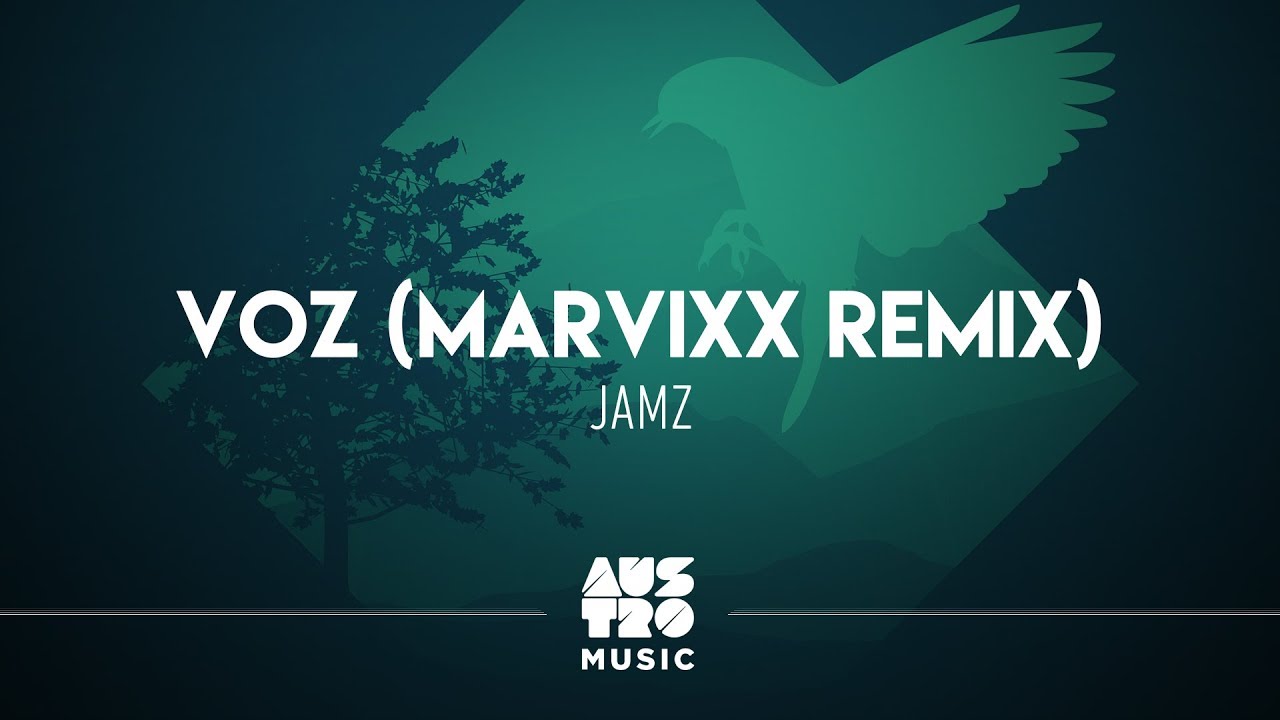 Jamz - Voz (MarVixx Remix)