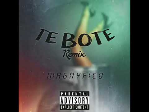 Magnyfico - Te Bote (Remix)