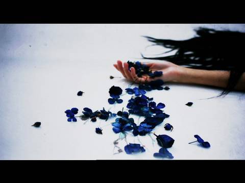 サカナクション - 目が明く藍色（MUSIC VIDEO） -BEST ALBUM「魚図鑑」(3/28release)-