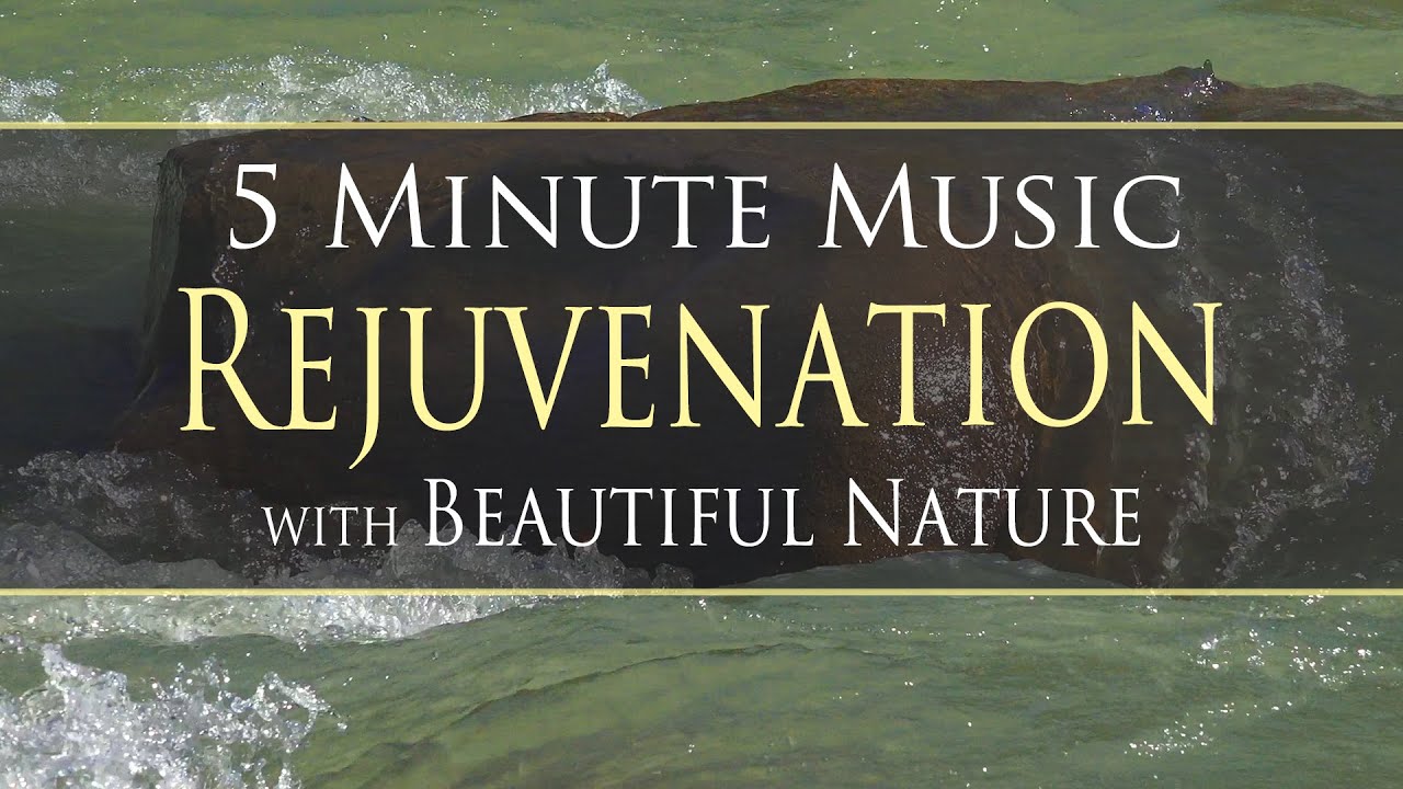 5 Minute REJUVENATING Meditation Music Timer ✨ w/ Relaxing Beautiful Nature Footage