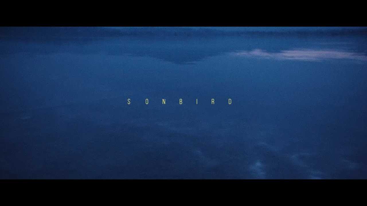 Sonbird - Ląd