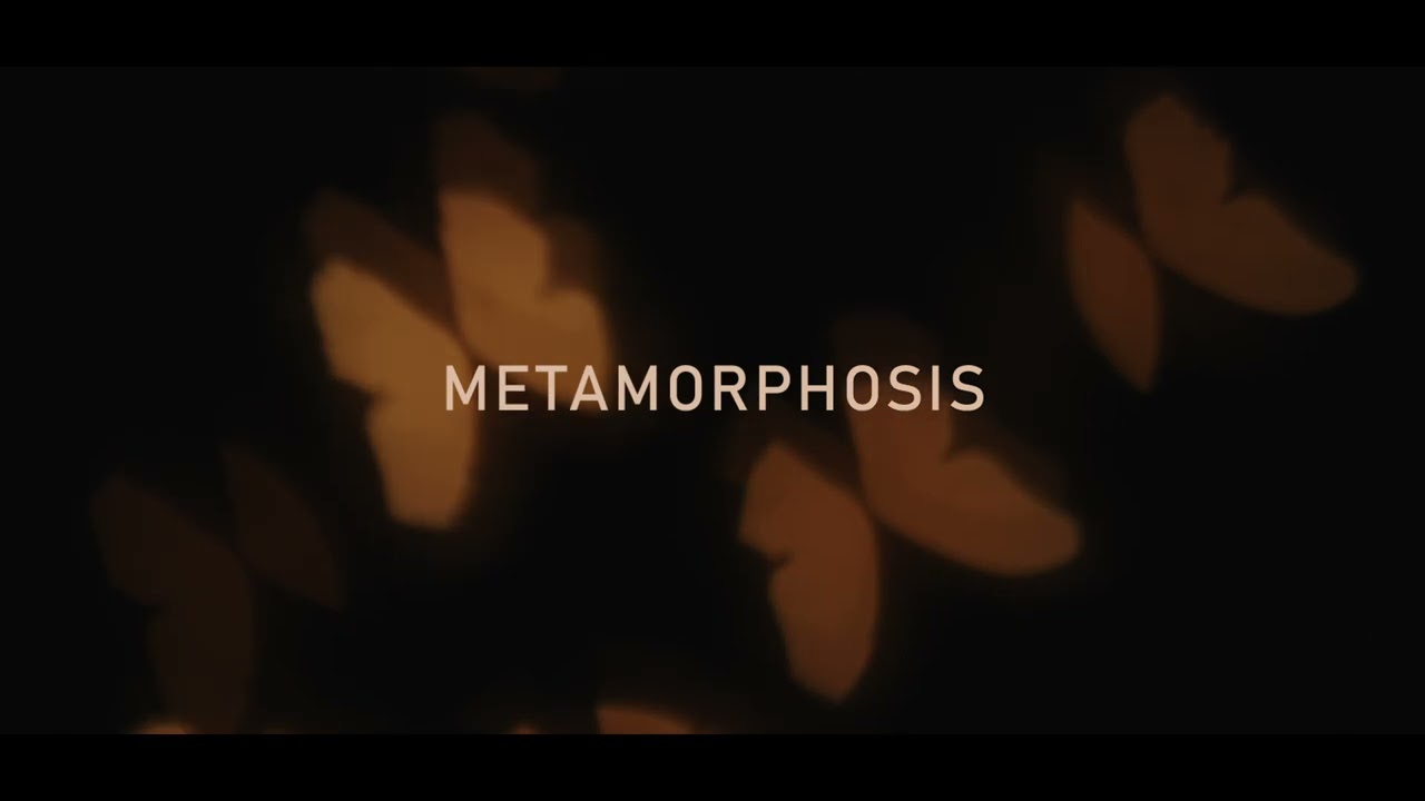 Kayou. - Metamorphosis 🦋