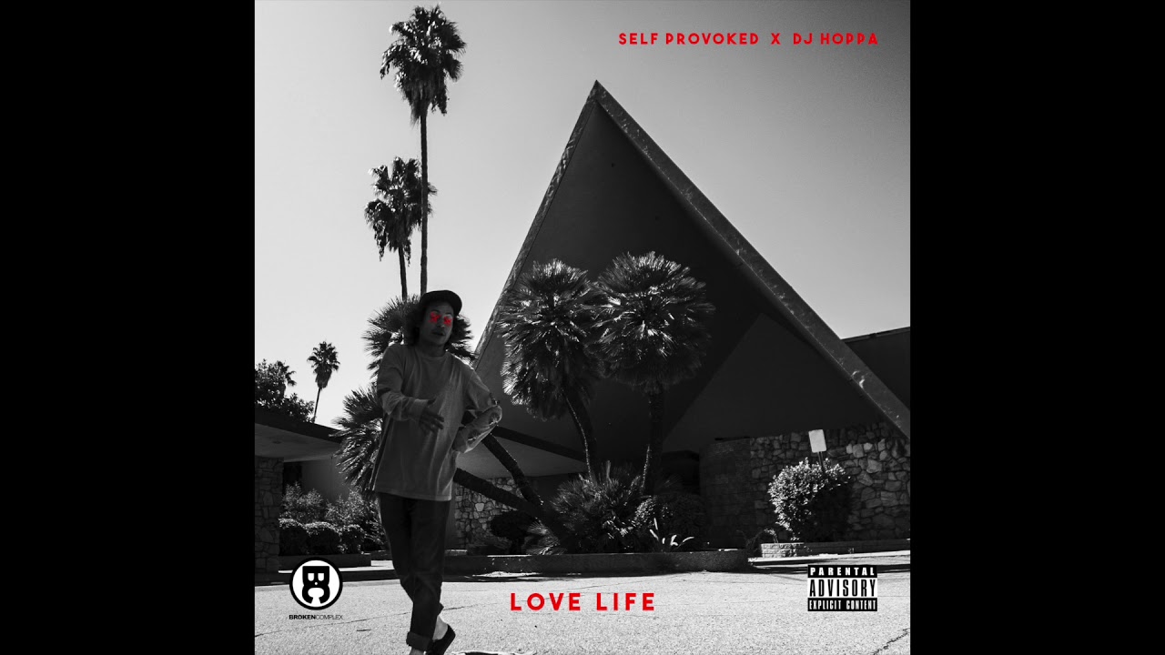 Self Provoked & DJ Hoppa - Love Life (audio)