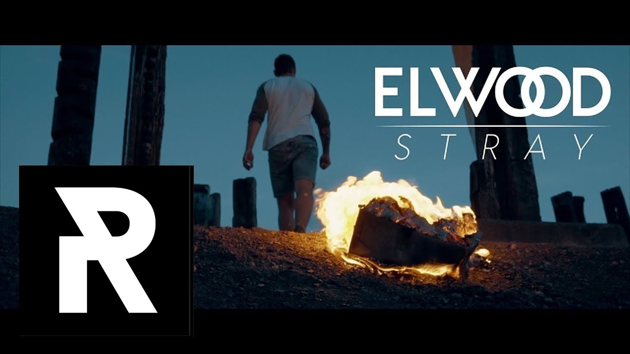 ELWOOD STRAY - You Lost feat. Kassim of ALAZKA (Official Video)