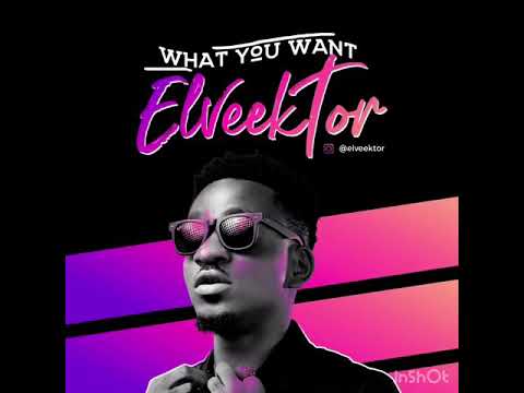 Elveektor - What You Want