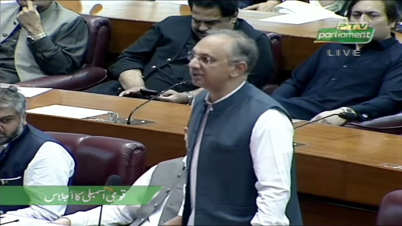 PTI Leader Omar Ayub Khan Important Speech in National Assembly