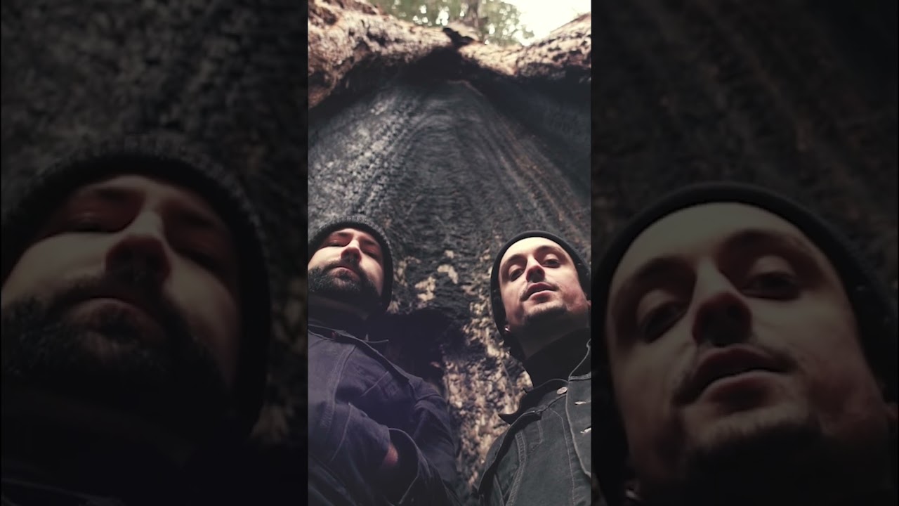 Something To Fix - Bonelang (filmed in a Redwood)