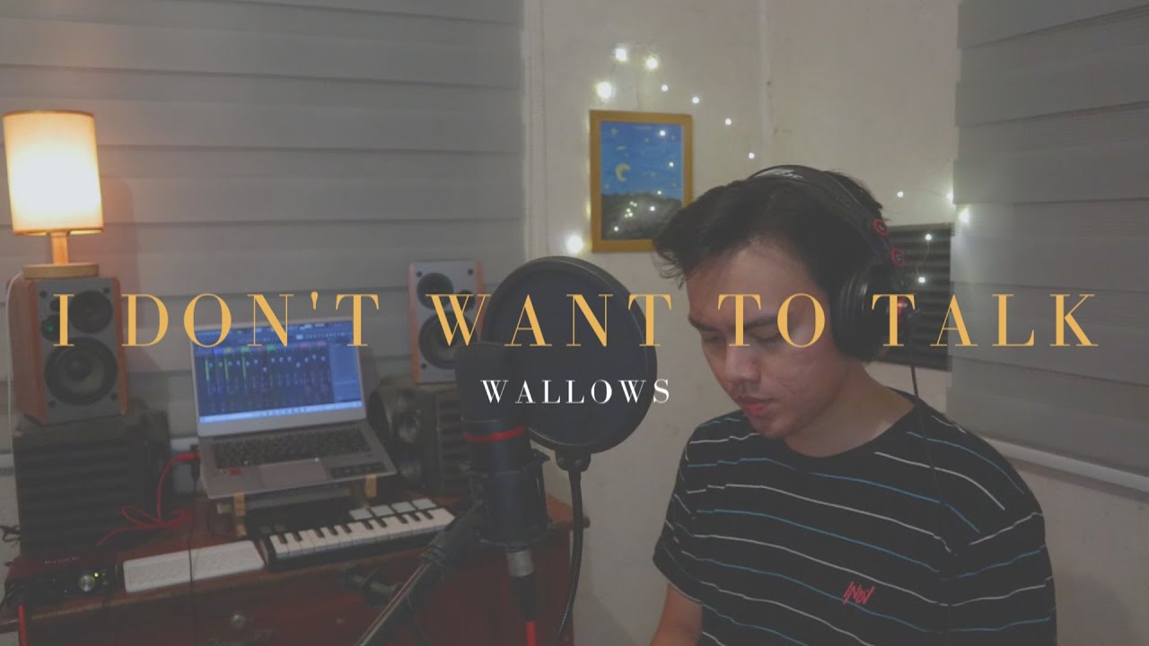 I Don't Want To Talk - Wallows Cover (Acoustic)