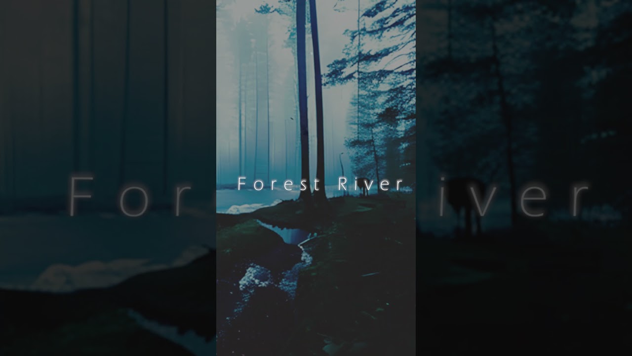 Keylost - Forest River