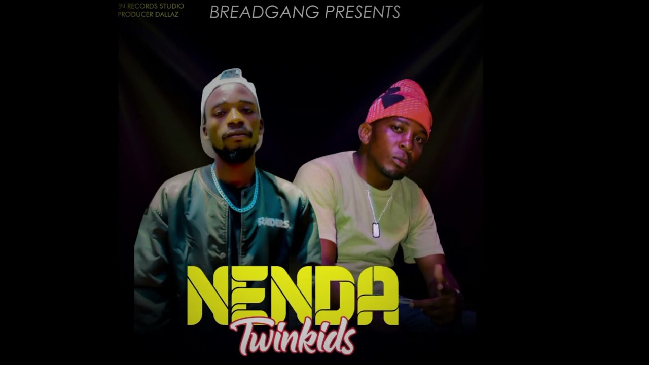 Twin Kids-Nenda- (Official Audio Visualizer)