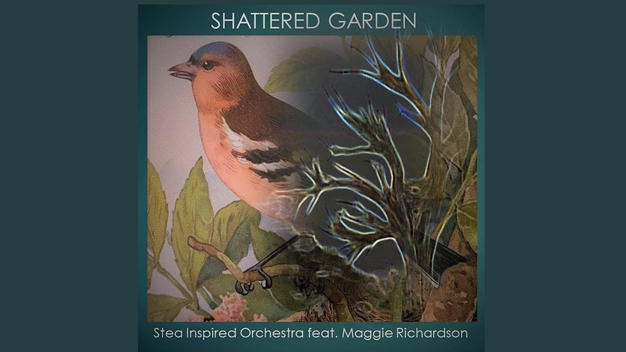 John Stea Song Writer ~ Shattered Garden (environment & climate change awareness song)