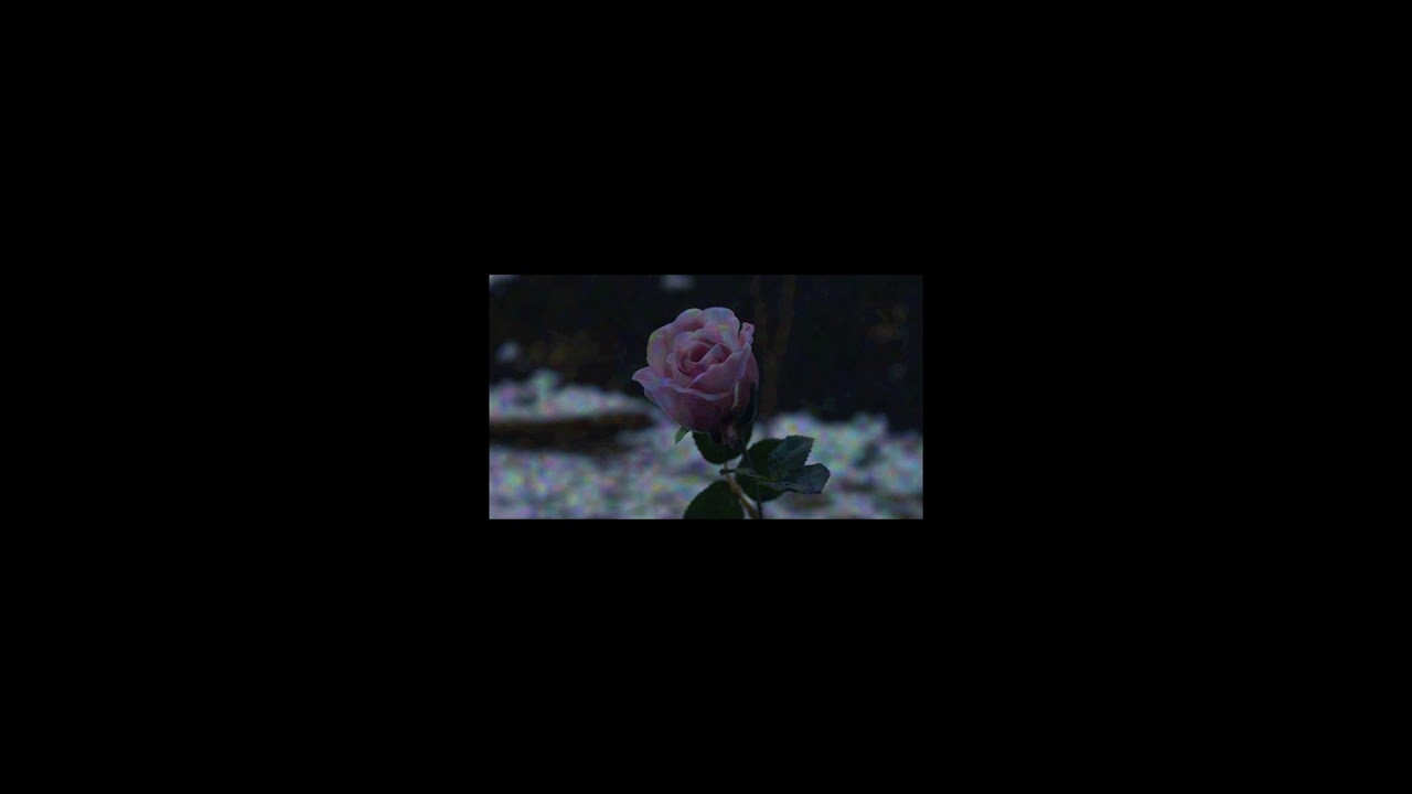margiela - zgniła róża (prod. Tundra Beats)