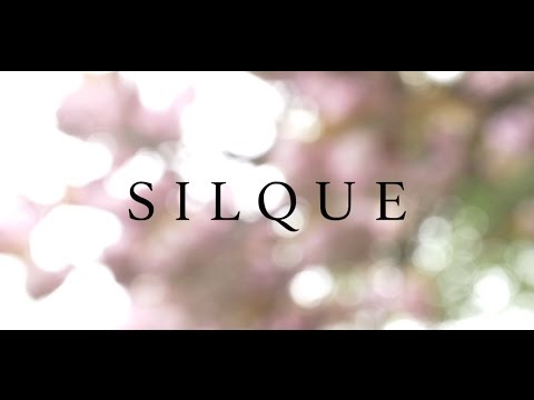 SILQUE - Gloria