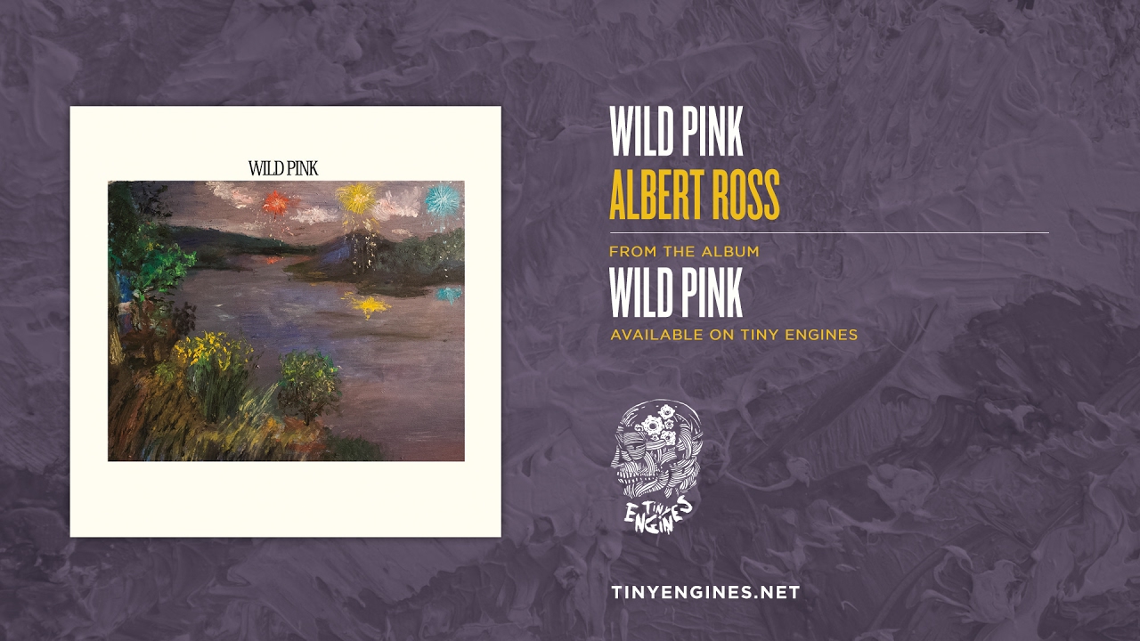 Wild Pink - Albert Ross