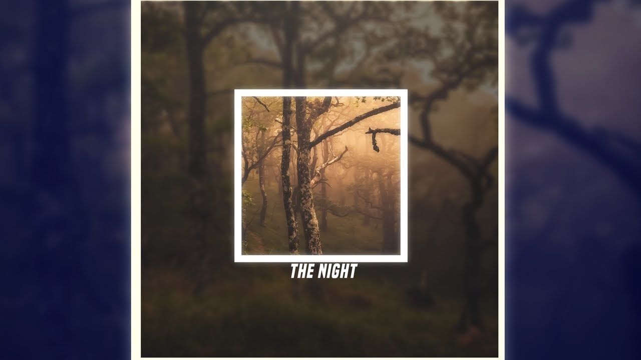 Galazy & Jamie Reardon - The Night (feat. Jacob Shanks)