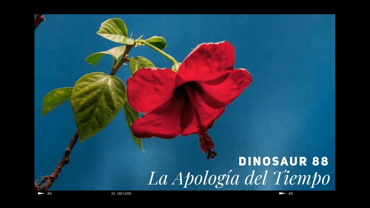 Dinosaur 88 - La Apología del Tiempo