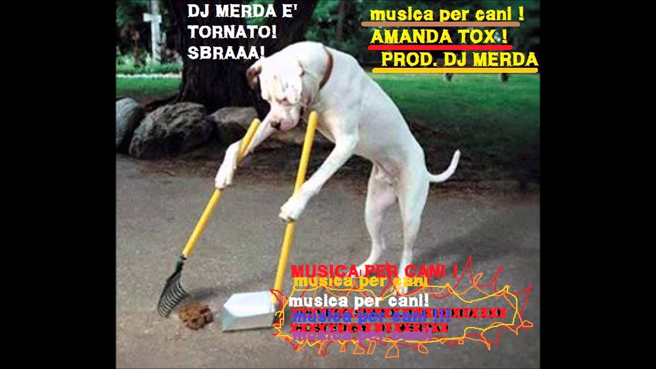 Musica per cani - Mc Bbo & Madrock - Prod. DJ MERDA
