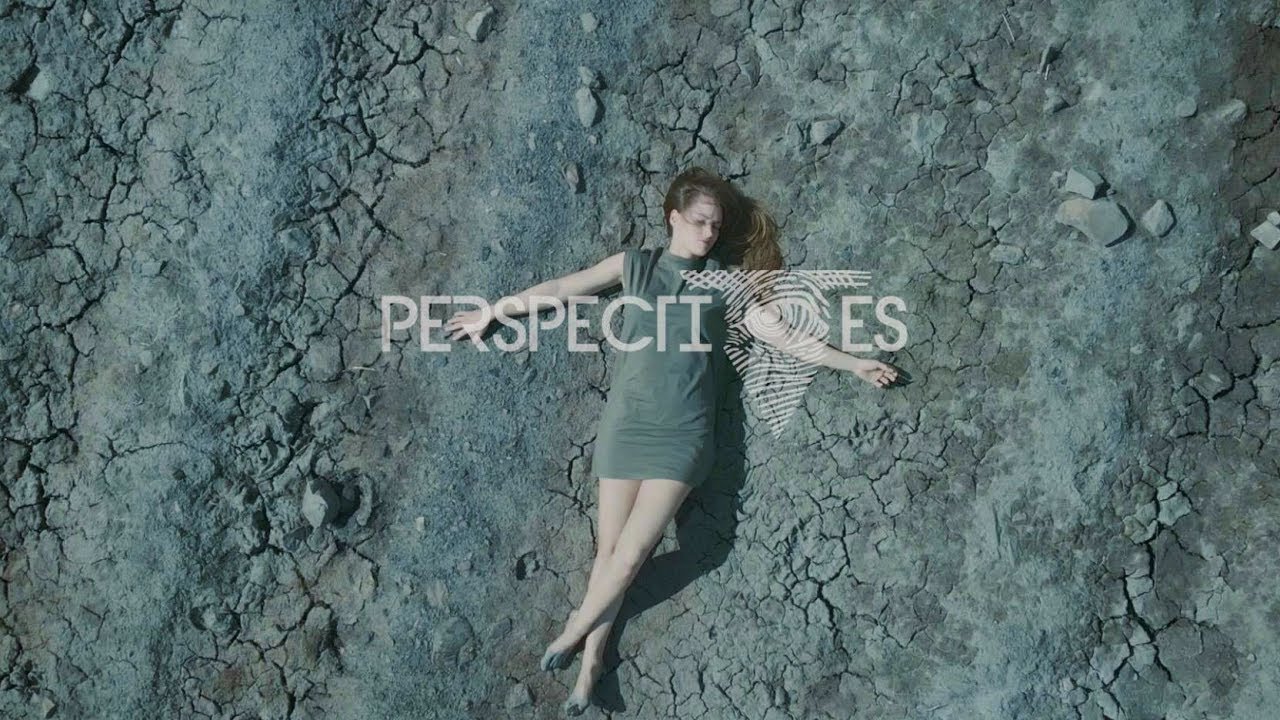We Are Perspectives  - The Shape Of The Waves (Official Video)