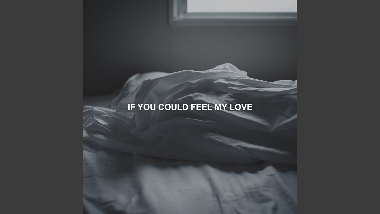 If You Could Feel My Love