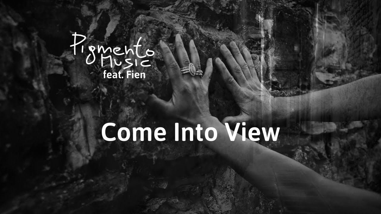 Come into View - A Visual Journey (feat. Fien)
