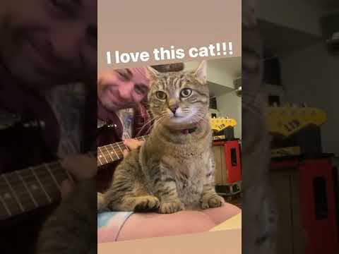 Trying to practice but our studio cat Jett just wants all the attention! She ❤️s DH & We ❤️ her!