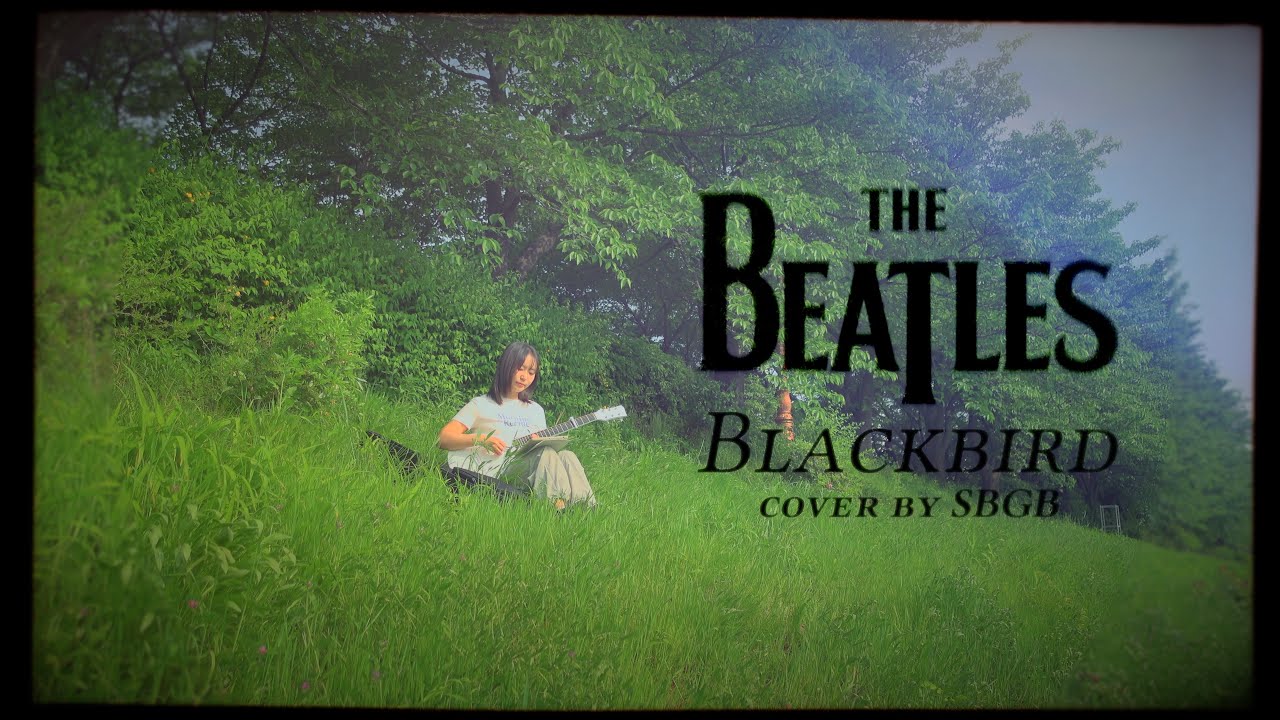 The Beatles (비틀즈) - Blackbird (cover)