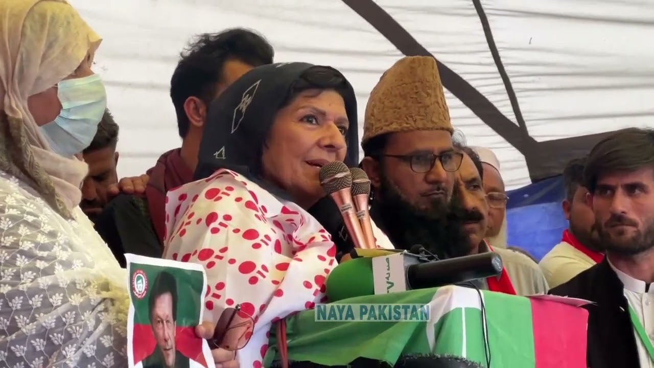 Imran Khan's Sister Aleema Khan Addressing Protest Rally for Release of Imran Khan