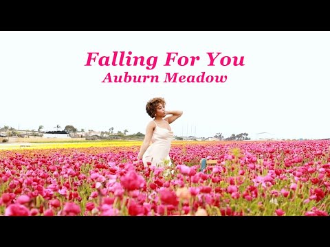 Auburn Meadow - Falling For You (Official Lyric Video)
