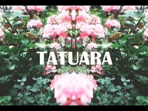 Tatuara - Déjalo Caer (Video oficial)