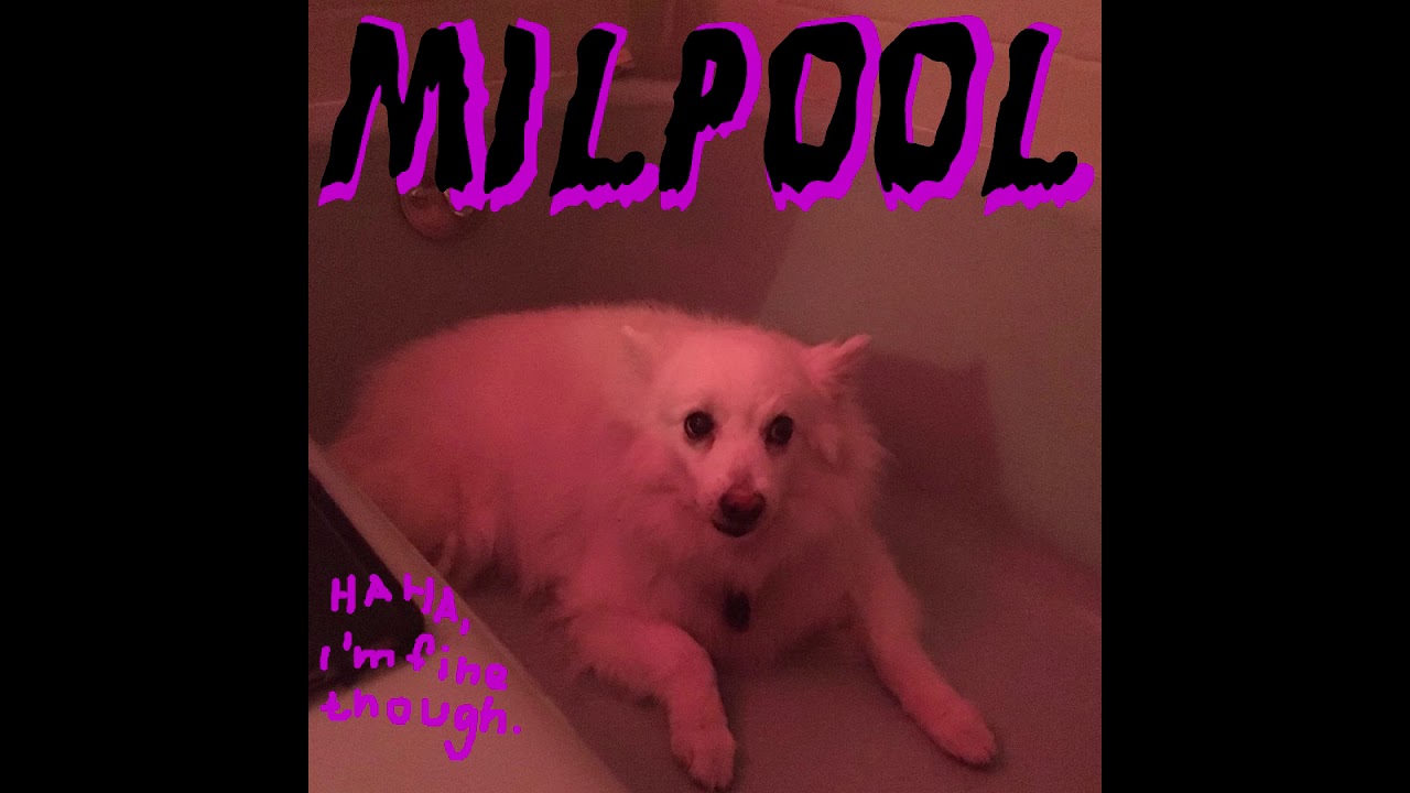 milpool - at a party