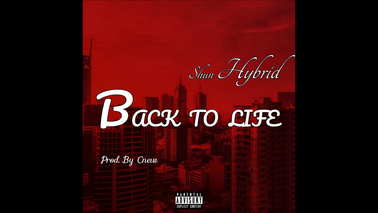 Shun Hybrid - Back To Life (Official Audio)