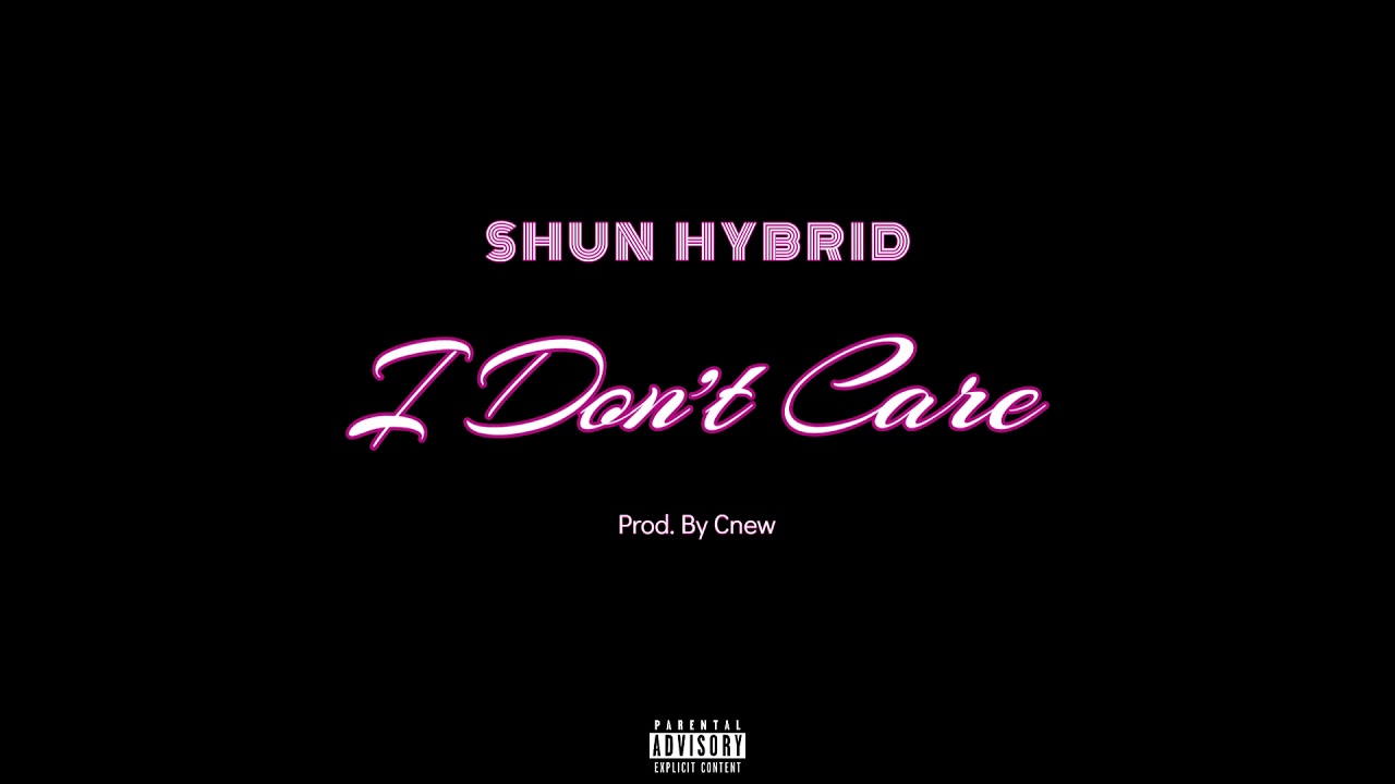 Shun Hybrid - I Don't Care (Official Audio)