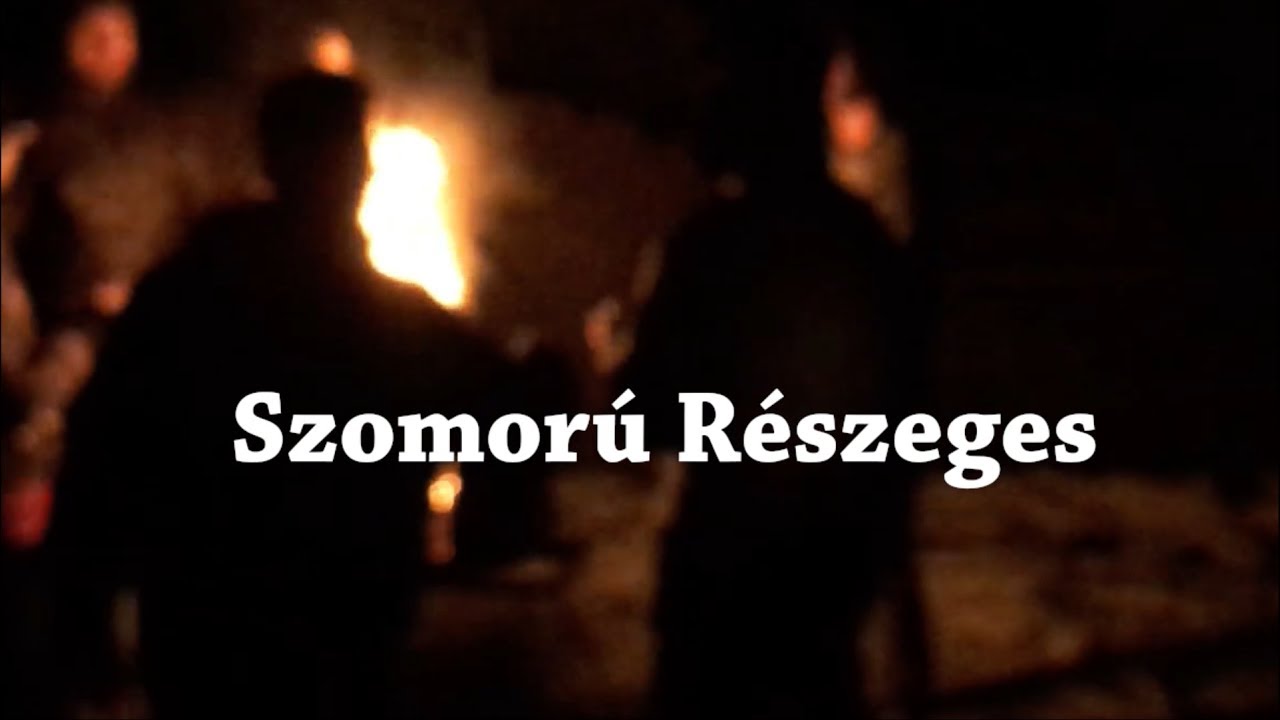 Farczi SRG 171 feat. FEELZ - Szomorú Részeges