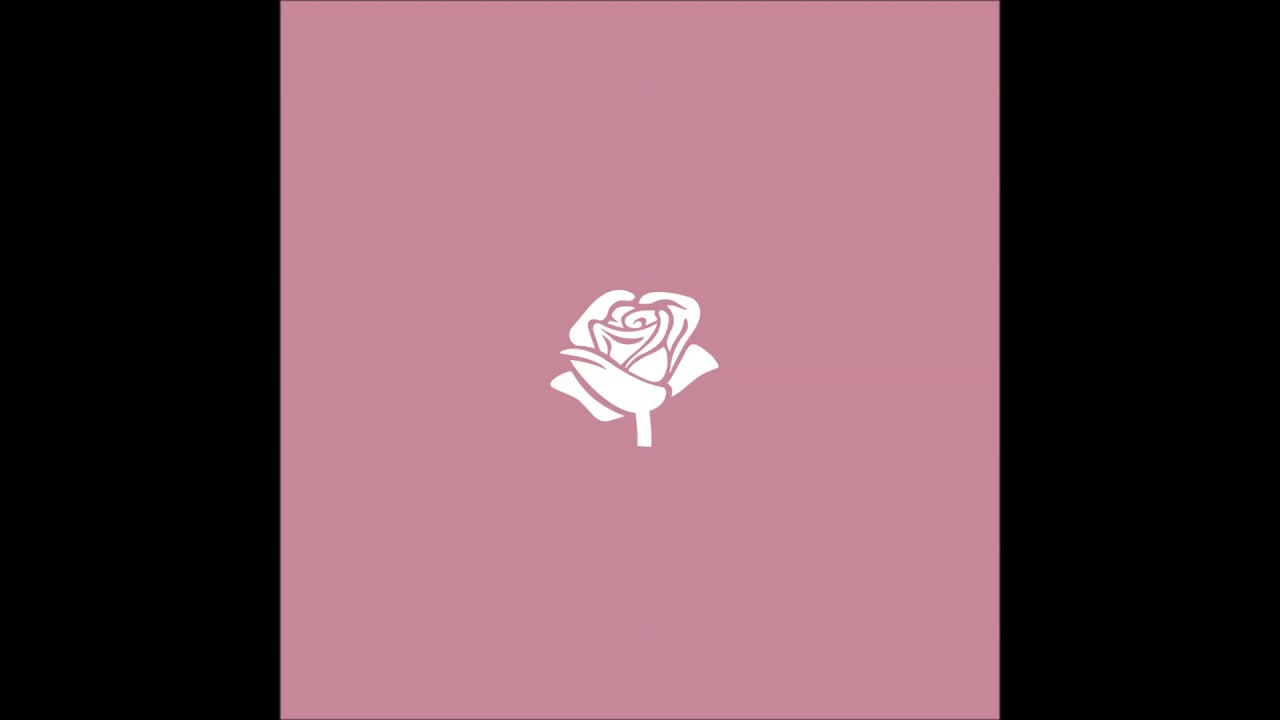 Austin Patten - Roses