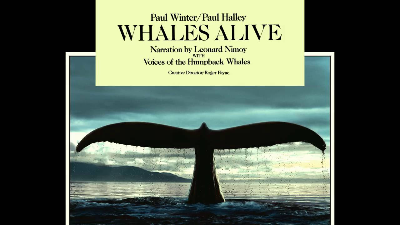 Paul Winter & Paul Halley - Concerto For Whale And Organ